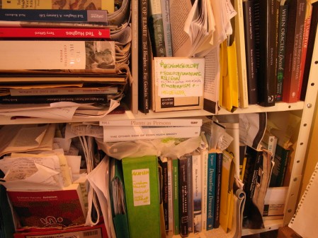 This Animist's Bookshelf - detail, showing ye olde working methods!